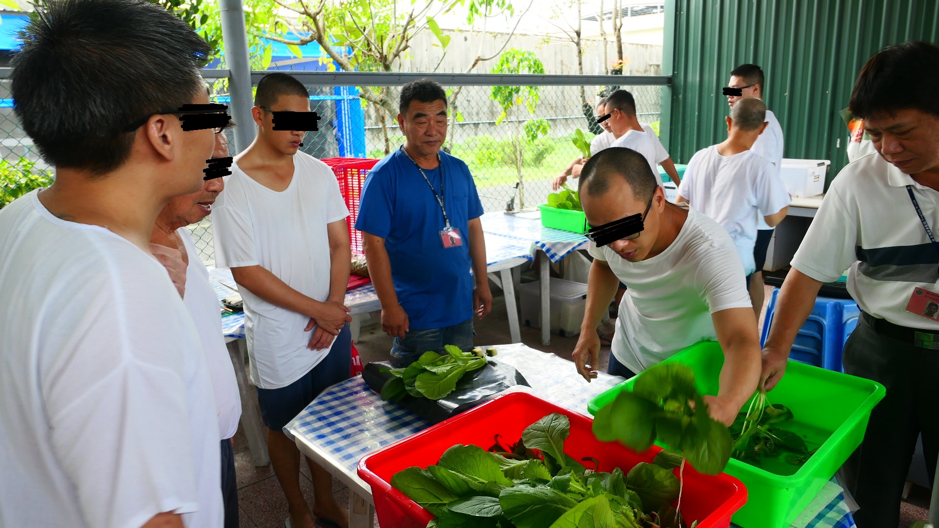 水耕蔬菜老師指導採收後磅秤及包裝情形